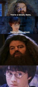 You're a Hairy Wizard